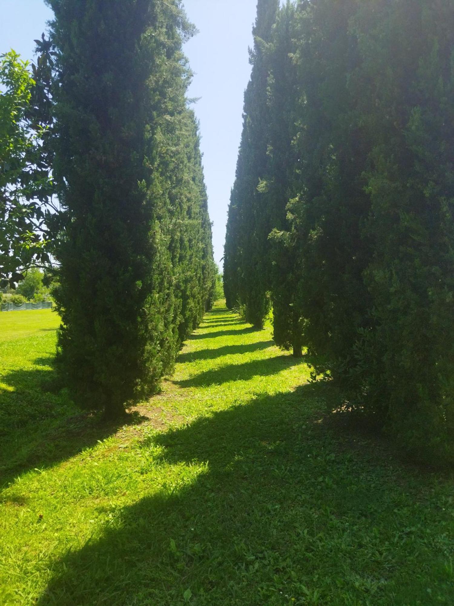 Villa Fontana カパンノリ エクステリア 写真